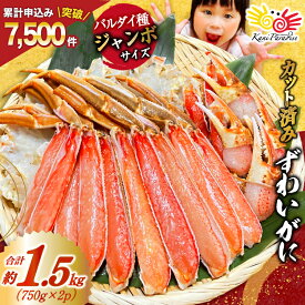 【ふるさと納税】 【選べる配送時期】 カット済 ずわいがに むき身セット 総重量1.5kg(750g×2p) かにしゃぶ かに鍋 正味重量1.2kg [カネダイ 宮城県 気仙沼市 20565785] かに カニ ずわいがに ずわい 蟹 棒 魚介 海鮮 ポーション