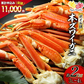 【ふるさと納税】 【選べる配送時期】ボイル済み 本ずわいがに 脚 3L〜4L 総重量 2kg [カネダイ 宮城県 気仙沼市 20564764] カニ 蟹 ズワイガニ ずわい蟹 ズワイ蟹 ずわい ズワイ カニ脚 蟹脚 足 ボイル