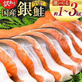 【ふるさと納税】 訳あり 国産 減塩 厚切り 塩銀鮭 切身【選べる内容量】1kg / 3kg [足利本店 宮城県 気仙沼市 20565754] サーモン 鮭 さけ サケ シャケ 魚 海鮮 魚介 甘塩味 規格外 不揃い 鮭切身 切り身 簡易包装 家庭用 訳アリ 冷凍