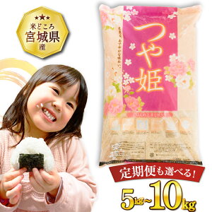 �y�ӂ邳�Ɣ[�Łz �y�I�ׂ���e�ʁz �� �ߘa7�N�Y �{�錧�Y ��P 5kg 10kg [�C����č����Ƌ����g�� �{�錧 �C����s 20564658] �ꓙ�� �u�����h�� ���� ���� ���� ���͂� �R�� ���� ������ �ƒ�