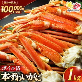 【ふるさと納税】 訳あり ボイル ずわいがに 肩付き脚 総重量1kg [カネダイ 宮城県 気仙沼市 20565778] カニ かに 魚介類 ズワイガニ ずわい蟹 ズワイ蟹 ずわい ズワイ 蟹 カニ カニ脚 蟹脚 不揃い 規格外 海鮮 ご褒美