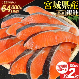 訳あり 宮城県産 熟成 銀鮭 切身 約2kg【選べる定期...