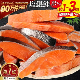 【ふるさと納税】 鮭 訳あり 銀鮭 切身 【内容量が選べる】 [宮城東洋 宮城県 気仙沼市 20564665] 魚介類 海鮮 訳アリ 規格外 不揃い さけ サケ 鮭切身 シャケ 切り身 冷凍 家庭用 おかず 弁当 支援 サーモン 銀鮭切り身 魚 わけあり 2kg 3kg 定期便