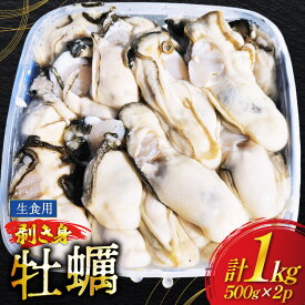 【ふるさと納税】 【期間限定発送】 牡蠣 むき身 生食用 500g✕2p 計1kg (約30‐50個入) [住喜水産 宮城県 気仙沼市 20566382] 期間限定 冷蔵 新鮮 濃厚 真牡蠣 カキ かき 生牡蠣 魚貝類 生牡蠣 貝 海鮮 魚介類 なべ カキフライ 牡蠣ご飯 魚介