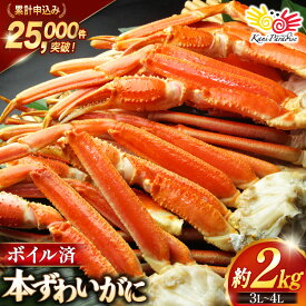 【ふるさと納税】 ボイル済み 本ずわいがに 脚 3L〜4L 総重量 2kg [カネダイ 宮城県 気仙沼市 20564764] カニ 蟹 ズワイガニ ずわい蟹 ズワイ蟹 ずわい ズワイ カニ脚 蟹脚 足 ボイル