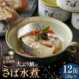 【ふるさと納税】 OceanPrincess 大ぶり鯖のさば缶 12缶 セット 水煮 [モンマルシェ 宮城県 気仙沼市 20565067] 缶詰 サバ缶 サバ 缶詰め かんづめ 鯖 さば さばの水煮 水煮 簡単調理 高級 保存食 常備 常温 オーシャンプリンセス