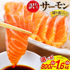 【ふるさと納税】 訳あり 無添加 サーモン 切り落とし おさしみ用 【選べる内容量】800g (5p) / 1.6kg(10p) 小分けサイズ160g[足利本店 宮城県 気仙沼市 20565684] 鮭 刺し身 刺身 個包装 銀鮭 海鮮 海鮮丼 魚介 訳アリ