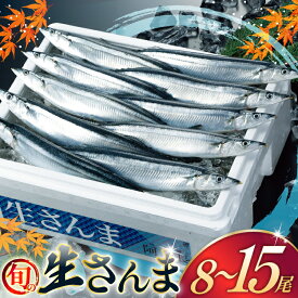 【ふるさと納税】 【期間限定発送】 生 さんま 【選べる内容量】10尾 15尾 大サイズ 8尾 [阿部長商店 宮城県 気仙沼市 20566364] 魚 サンマ 秋刀魚 生鮮 鮮魚 季節限定 旬 秋