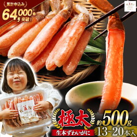 【ふるさと納税】 極太 生本ずわいがに 棒肉ポーション 約500g 13本〜20本入り 殻剥き不要 ! 脚肉のみ ! [カネダイ 宮城県 気仙沼市 20565783] 蟹 かに カニ ずわいがに ズワイガニ ずわい蟹 ズワイ蟹 カニ脚 蟹脚 カニ棒肉
