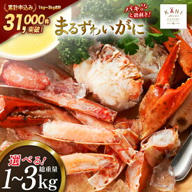 【ふるさと納税】 大人気！リピーター続出 まるずわいがに 肩脚肉 【内容量が選べる】[カネダイ 宮城県 気仙沼市 20564327] かに カニ かに物語 まるズワイガニ 丸ずわいがに マルズワイガニ 蟹 ずわい 魚介 魚介類 1kg 2kg 3kg