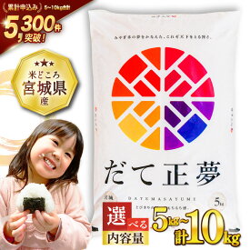 【ふるさと納税】 【選べる内容量】 米 令和7年産 宮城県産 だて正夢 5kg 10kg [気仙沼米穀商業協同組合 宮城県 気仙沼市 20562998] 一等米 ブランド米 白米 精米 選べる 内容量 ご飯 ごはん コメ こめ 小分け 家庭用 宮城