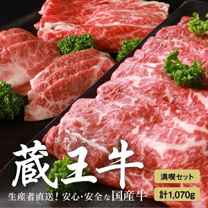 yӂ邳Ɣ[ŁziZbg(3)1,070g  1kg Ă 3 Ԃ   o [X Ă   Mtg  Ε  񂹃O j a 