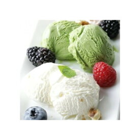 【ふるさと納税】＜業務用サイズ＞ フロム蔵王 ピスタチオ&バニラアイス クリーム（リッチミルク）各1,000ml | アイス 詰め合わせ 1L バニラ ピスタチオ 乳製品 山田乳業 ふるさと納税 宮城県 白石 白石市【0110901】