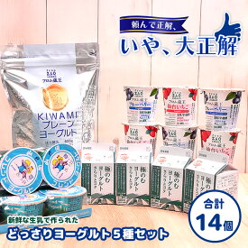 【ふるさと納税】フロム蔵王 どっさりヨーグルト 5種セット| ヨーグルト 飲むヨーグルト 食べ比べ 国産 健康 オンライン 申請 ふるさと納税 宮城県 白石 白石市 山田乳業 お取り寄せ 詰合せ【0114601】