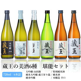 【ふるさと納税】蔵王の美酒6種　堪能セット | 日本酒 セット 蔵王 6種 大吟醸 純米大吟醸 藏王昇り龍 純米吟醸 特別純米酒 純米酒 本醸造辛口 6本 飲み比べ 酒 地酒 日本酒 ギフト プレゼント お歳暮 お取り寄せ ふるさと納税 宮城県 白石市【0215202】