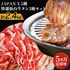 【ふるさと納税】【定期便:5ヶ月】 JAPANX5種と特選仙台牛タン3種 JAPANX ロース 肩ロース バラ モモ 小間 仙台牛タン 塩 味噌 醤油 計2.4kg 豚 牛 JAL機内食 定期便 5ヶ月 ふるさと納税 宮城県 白石 白石市【04159】