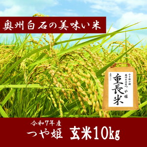 yӂ邳Ɣ[Łzy or  eʂIׂzߘa7NY P {錧ΎsY | P {錧Ύs ΎsY      uh  Â ͂  