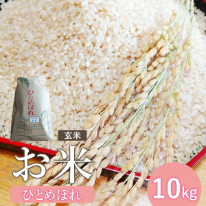 yӂ邳Ɣ[ŁzVāwߘa7Yx ЂƂ߂ڂ  10Kg |  ЂƂ߂ڂ ͂ Y { k ӂ邳Ɣ[ {錧 Ύs ؐ{ʎ IC\ Xgbvy1215102z