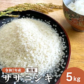 【ふるさと納税】『令和7年産』 宮城県白石市産 ササニシキ 精米 5Kg | 5キロ 5キロ 5kg お米 米 ササニシキ 白米 精米 宮城米 ふるさと納税 宮城県 白石市 白石【1215502】