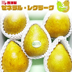 yӂ邳Ɣ[Łzy\Eʌz EtX 3kg 5`7  ь S n Tӂ ʕ  t[c fU[g ӂ邳Ɣ[ {錧  Ύsy1510101z