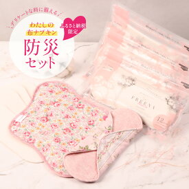 【ふるさと納税】【ふるさと納税限定】デリケートな時に備える わたしの布ナプキン防災セット（3種類×計8点） | 布ナプキン 防災セット 防災 非常時 備え 使い捨て サニタリー用品 生理用品 デリケートゾーン フリーナ 詰め合わせ お取り寄せ 宮城県 白石市【23004AA0101】