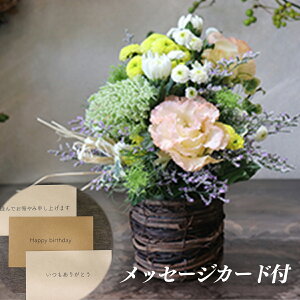 花 土 生花の人気商品 通販 価格比較 価格 Com 花 土 生花の人気商品 通販 価格比較 価格 Com