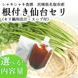 【ふるさと納税】【期間限定】根付き仙台セリ鍋出汁セット（セリ鍋用出汁・スープ付）　選べる内容量（300g〜1000g）2～10人前　せり セリ 野菜 鍋 セリ 仙台セリ セリ鍋 名取市産