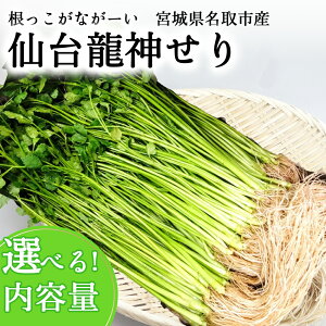 yӂ邳Ɣ[ŁzyԌzȂ[[[@䗴_Pi@Iׂe(300g`1000g)2`10lO@ Z   Z Z Z sY