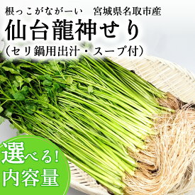 【ふるさと納税】【期間限定】根が魅力の仙台龍神せり鍋出汁セット（セリ鍋用出汁・スープ付）選べる内容量(300g〜1000g)2～10人前　せり セリ 野菜 鍋 セリ 仙台セリ セリ鍋 名取市産
