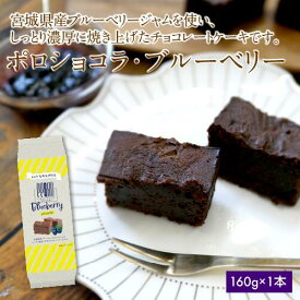 【ふるさと納税】ポロショコラ・ブルーベリー1本（5切）　チョコ ケーキ スイーツ ガトーショコラ 濃厚 お菓子 洋菓子 ふるさと納税 お菓子