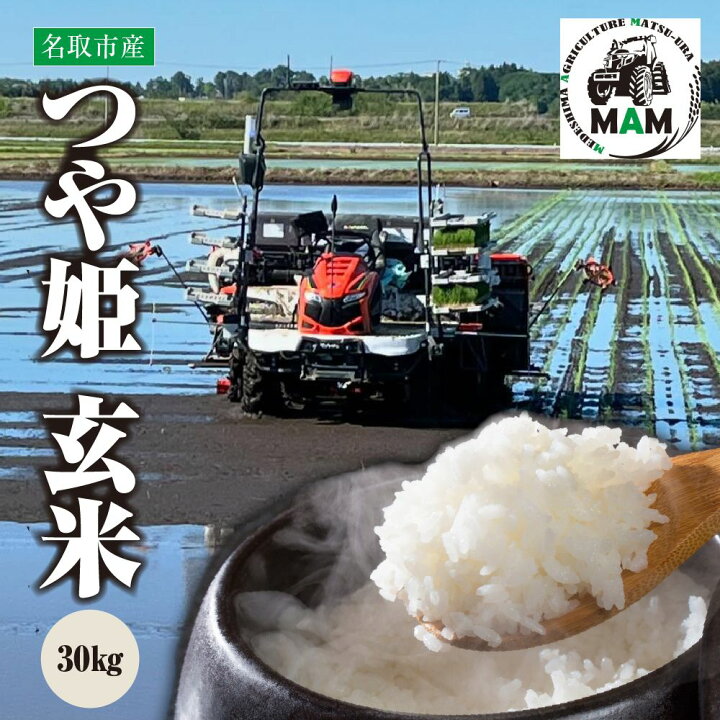 楽天市場】【ふるさと納税】《令和7年産米》つや姫 玄米 30kg 宮城県 