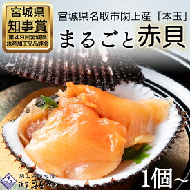 【ふるさと納税】【閖上赤貝】まるごと赤貝　選べる個数 1個 3個 6個 12個　漁亭浜や 赤貝 ふるさと納税 赤貝 閖上産 魚介 海鮮 貝 刺身 名取市 ふるさと納税
