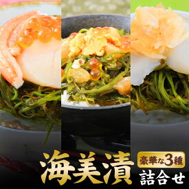 【ふるさと納税】丼ぶりご飯に乗せるだけで 簡単 海鮮丼! 海美漬 豪華な 3種 詰合せ (6食分）ズワイガニ フカヒレ めかぶ [海美漬(うみづけ)豪華な3種の海鮮丼セット]