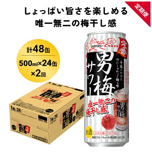 yӂ邳Ɣ[ŁzTb| j~ T[ 500ml×24(1P[X)×2(v48)  `[nC nC T[  {錧s 