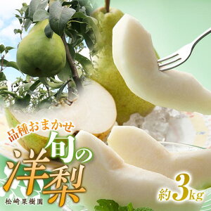 yӂ邳Ɣ[Łzi킨܂{̗m 3kg  m | miV mȂ ʕ t[c   lC  i C ( I[ o[h Oh`sI R~X E