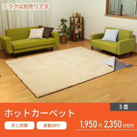 【ふるさと納税】 ホットカーペット 3畳 アイリスオーヤマ 195×235cm グレー 電気カーペット ホットマット ホットカーペット本体 電気マット カーペット マット 長方形 切り忘れ自動OFF ダニ退治 オフィス リビング 子供部屋 勉強 おすすめ 人気 アイリス IHC-30-H