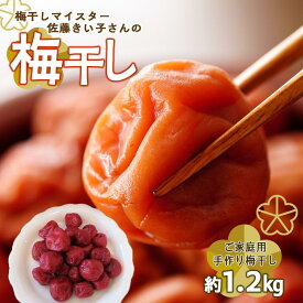 【ふるさと納税】梅干しマイスター 佐藤きい子さんのご家庭用手作り梅干し 約1.2kg ( 1パック × 3 ) | 梅干 食品 加工食品 人気 おすすめ 送料無料