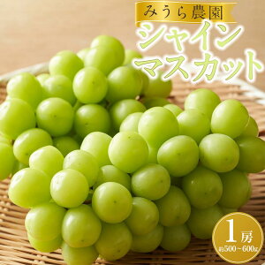 yӂ邳Ɣ[Łzy݂_zVC}XJbg 1[i500`600gjy8{ȍ~菇z