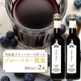 【ふるさと納税】ブルーベリー 原液 600ml ( 300ml × 2本 ) | ブルーベリー100％ ブルーベリー無添加 ブルーベリージュース 果実 くだもの フルーツ 飲料 果実飲料 ドリンク 完熟 小粒 アントシアニン 人気 おすすめ 宮城