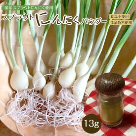 【ふるさと納税】スプラウトにんにくパウダー13g 　国産スプラウトにんにく使用 | 調味料 食品 加工食品 人気 おすすめ 送料無料
