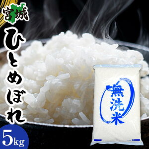 yӂ邳Ɣ[Łzyߘa7NYz{錧YЂƂ߂ڂyāz@5kg×1 |    Hi lC  