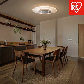 【ふるさと納税】照明 LEDシーリングライト パネルライト　調光調色8畳 CEA-A08DLP-S