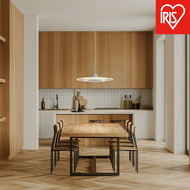 【ふるさと納税】照明 LEDペンダントライト パネルライト 温白色 PLP6D-WW ホワイト