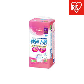 【ふるさと納税】【20枚入り×4パック】大人用おむつ リフィール　快適下着　薄型パンツ　Lサイズ　20枚入 NAD-L20-4