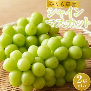 yӂ邳Ɣ[Łzy݂_zVC}XJbg 2[i1kgjy8{ȍ~菇z