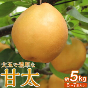 yӂ邳Ɣ[ŁzuÑv5kgi5`7ʓjyʎzb iV ̗ t[c ʕ {̗ {錧pcs 5kg | t[c ʕ  Hi lC  