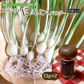 【ふるさと納税】スプラウトにんにくパウダー(竹炭入り)13g×2　 国産スプラウトにんにく使用、食用竹炭使用 | 調味料 食品 加工食品 人気 おすすめ 送料無料