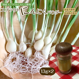 【ふるさと納税】スプラウトにんにくパウダー13g×2 　国産スプラウトにんにく使用 | 調味料 食品 加工食品 人気 おすすめ 送料無料