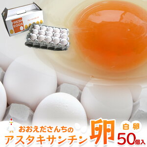 【ふるさと納税】おおえだファーム アスタキサンチン卵(白卵)Lサイズ 50個入り | 卵 たまご たまごかけごはん 鶏卵 食品 人気 おすすめ 送料無料