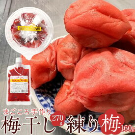 【ふるさと納税】梅干し 宮城県角田産【無添加】まごころ手作り梅干し(270g)・練り梅(160g)1セット｜梅干し 田舎の梅干し すっぱい 梅干 うめぼし 練り梅 パウチ | 手作り 梅干 うめぼし うめ干し 塩分 15% 〜 18% すっぱい 熱中症対策 お試し お取り寄せ 国産 人気
